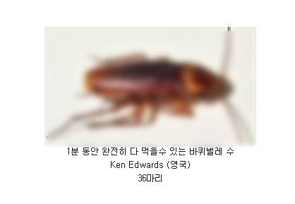 생각보다 먹기 힘든 기네스 기록