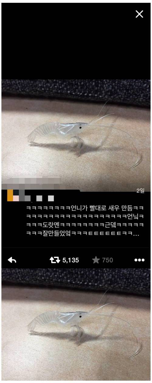 언니가 빨대로 만든 새우