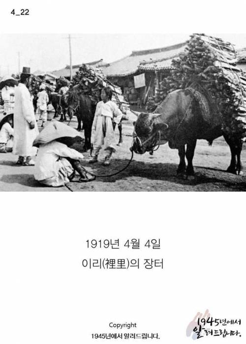 피 묻은 두루마기의 주인.jpg