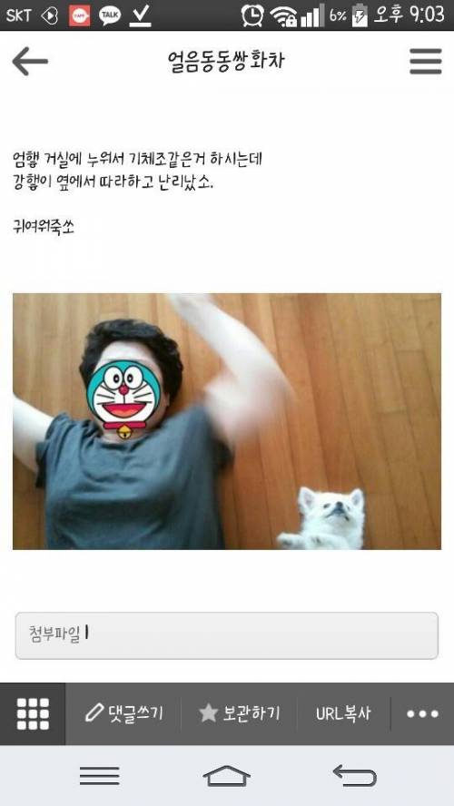 어머니 따라하는 강아지