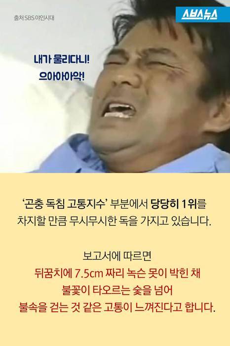 앤트맨이 현실로.jpg