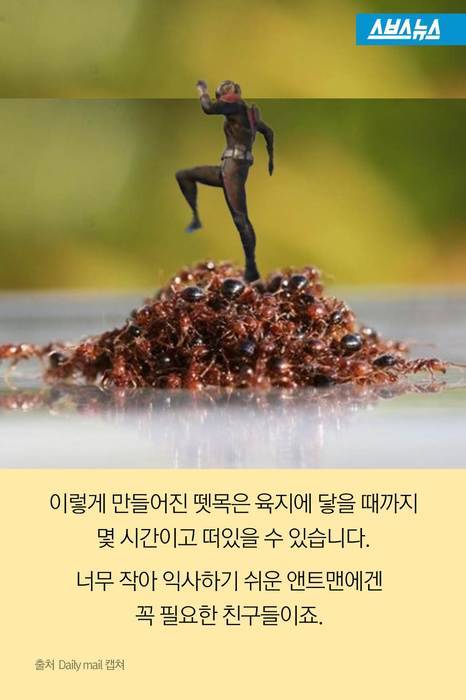 앤트맨이 현실로.jpg