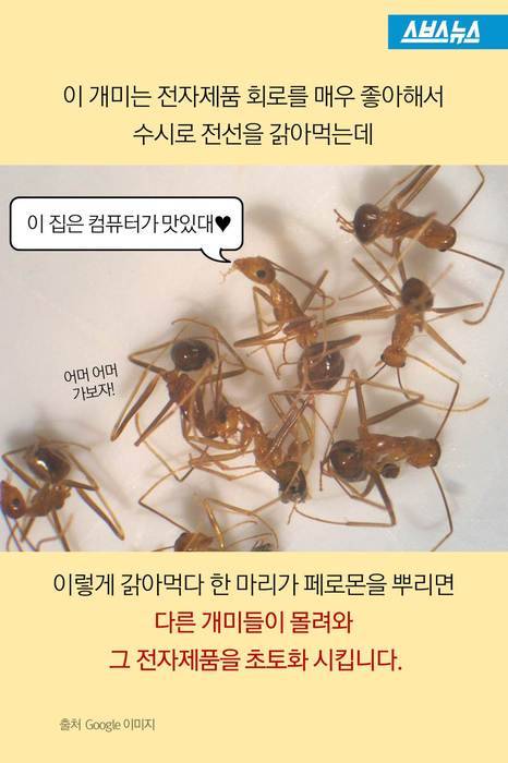 앤트맨이 현실로.jpg