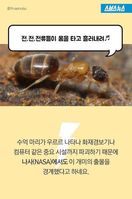 앤트맨이 현실로.jpg