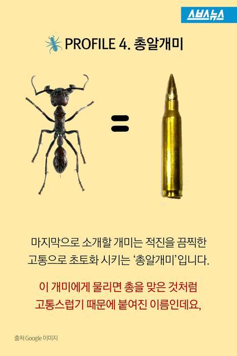 앤트맨이 현실로.jpg