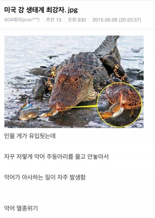 미국 강 생태계 최강자.jpg