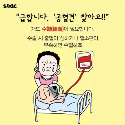 오직 피를 나눠주기 위해 사는 게.jpg