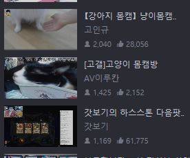 다음팟 실시간 상황.jpg