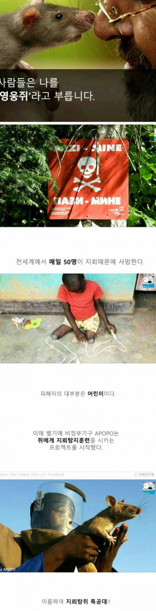 성공률100%.jpg