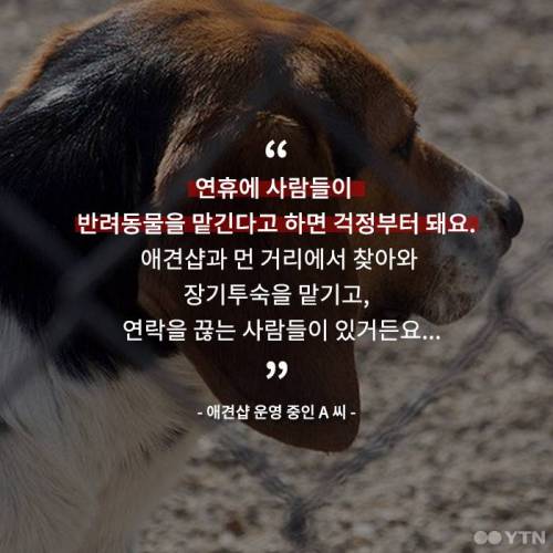 명절이 두려운 애견호텔.jpg