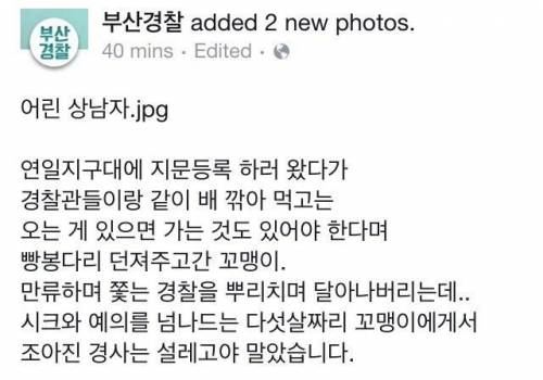 흔한 부산 싸나이.fb