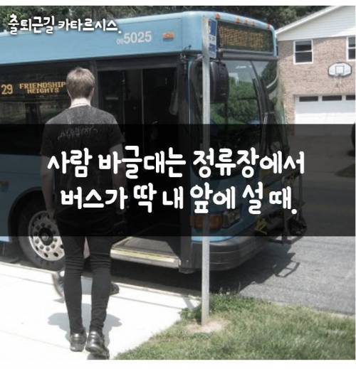 출근길 카트르시스를 느낄때.jpg