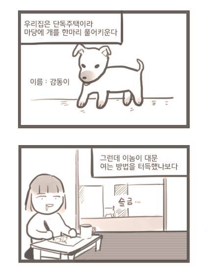 멍멍이 만화.jpg