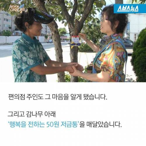 돈떨어지는 나무.jpg