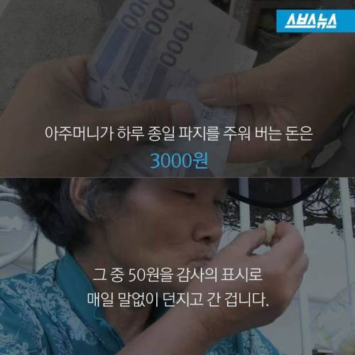 돈떨어지는 나무.jpg