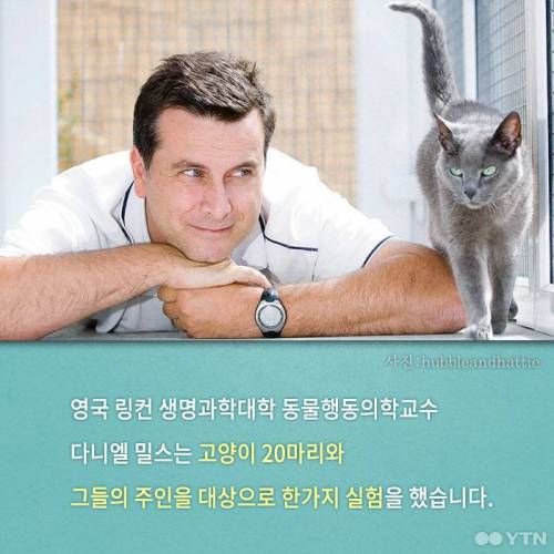 고양이, 정말 집에 혼자 둬도괜찮을까?.jpgif