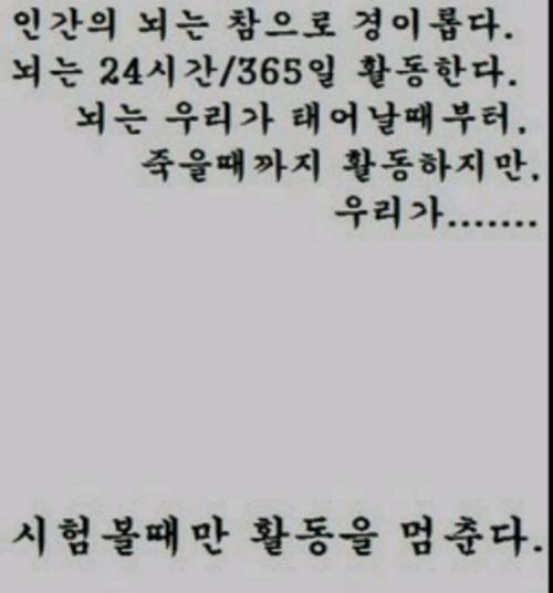 뇌가 활동을 멈추는 유일한 순간