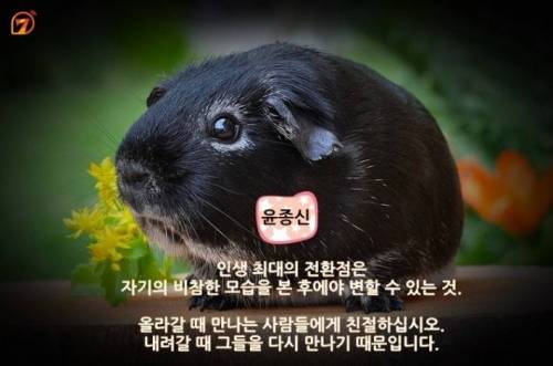 동물들과 함께 하는 스타들의 명언 10가지