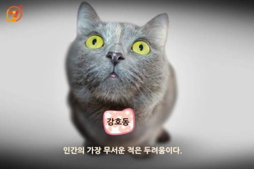 동물들과 함께 하는 스타들의 명언 10가지