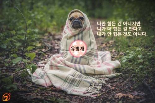 동물들과 함께 하는 스타들의 명언 10가지