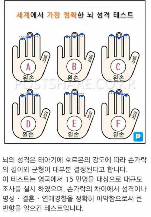 손으로 보는 뇌 성격 테스트.jpg