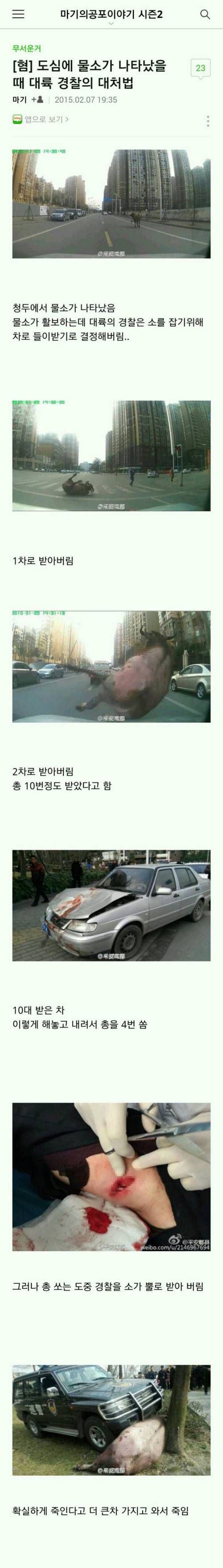 대륙의 물소소동 진압방법.jpg