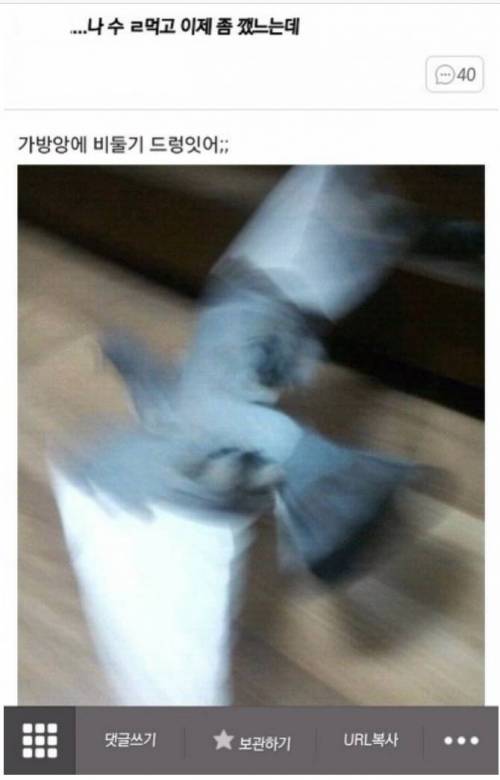 술먹고 마술사가 됐음.jpg