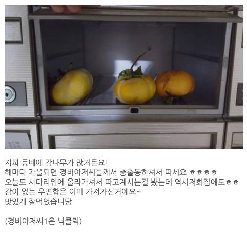 훈훈한 경비아저씨.jpg