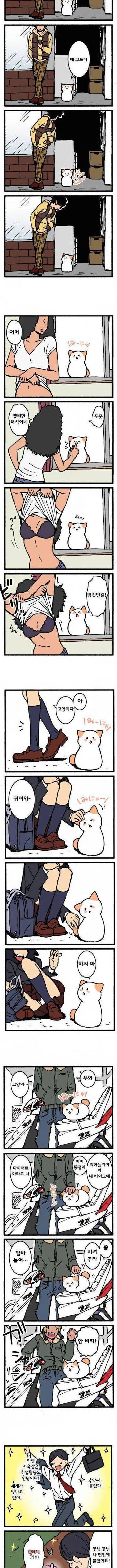 말하는 길냥이 만화