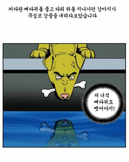 욕심이 부른 결과.jpg