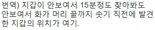 지갑 주제에 보호색 보소.jpg