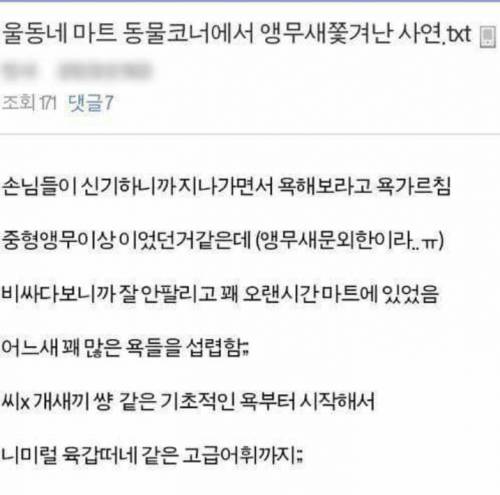 마트 동물코너에서 앵무새가 쫓겨난 사연