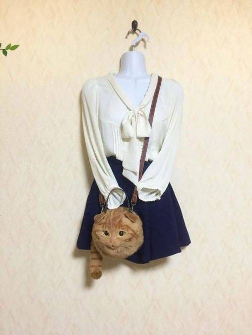 고양이 가방.jpg