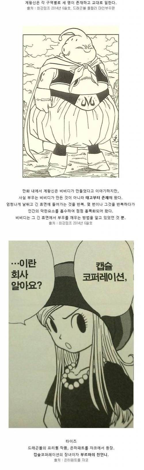 드래곤볼, 연재종료 이후 밝혀진 사실들