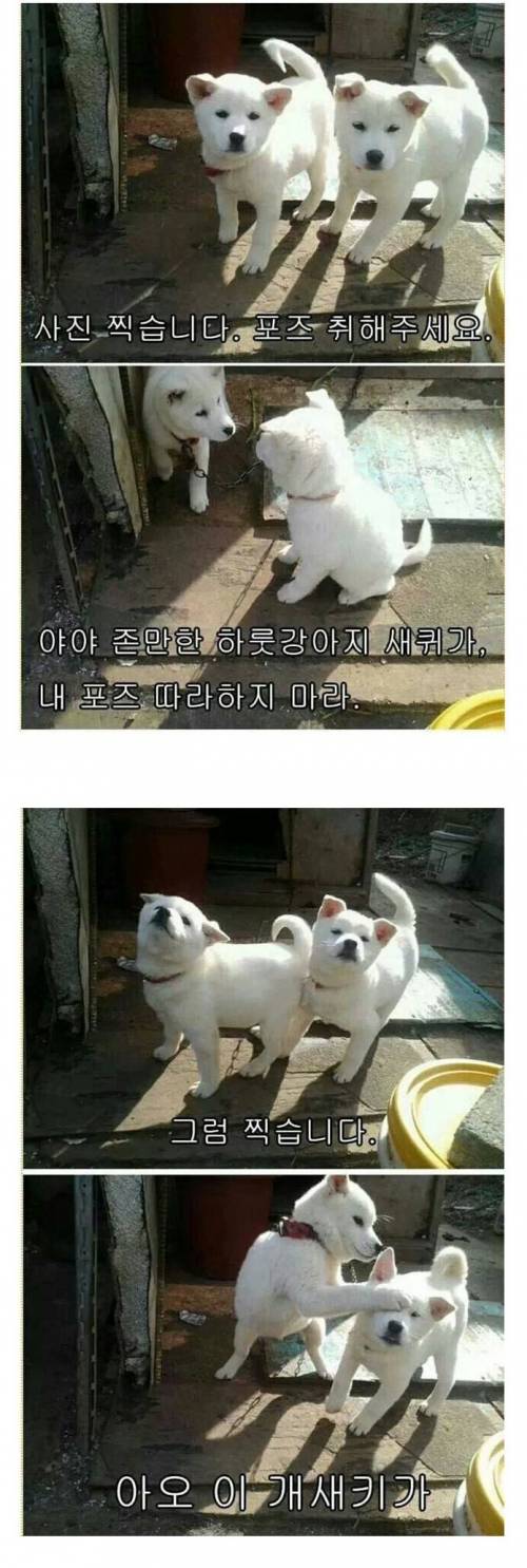 사진 찍습니다~! 포즈 취해주세요~