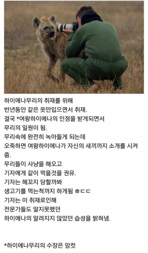 내셔널지오그래픽 기자의 위엄