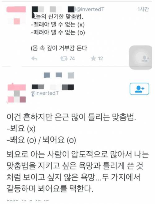 흔히 틀리는 맞춤법으로 인한 갈등의 선택