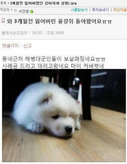 3개월전 잃어버렸던 울강쥐 돌아왔어요!