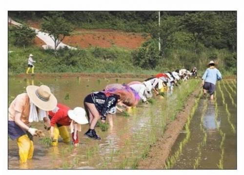 캡쳐로 고통받는 EXID.jpg