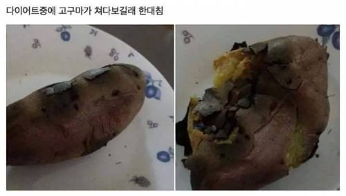 다이어트가 이렇게 무섭습니다