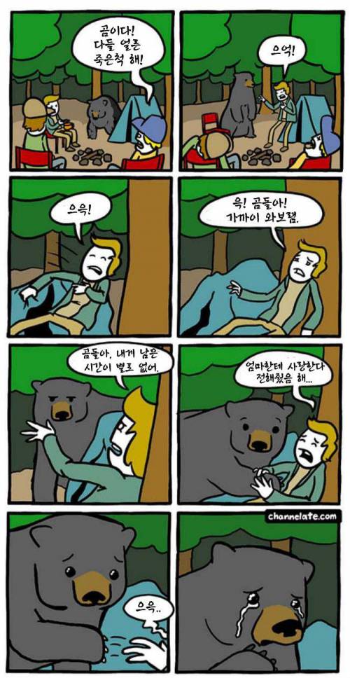 곰 만났을때 대처법.jpg