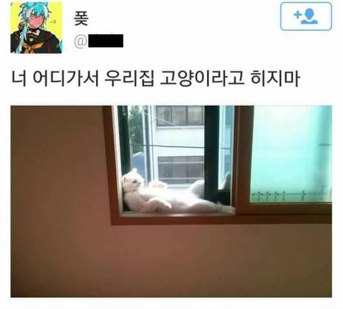 너 어디가서.jpg