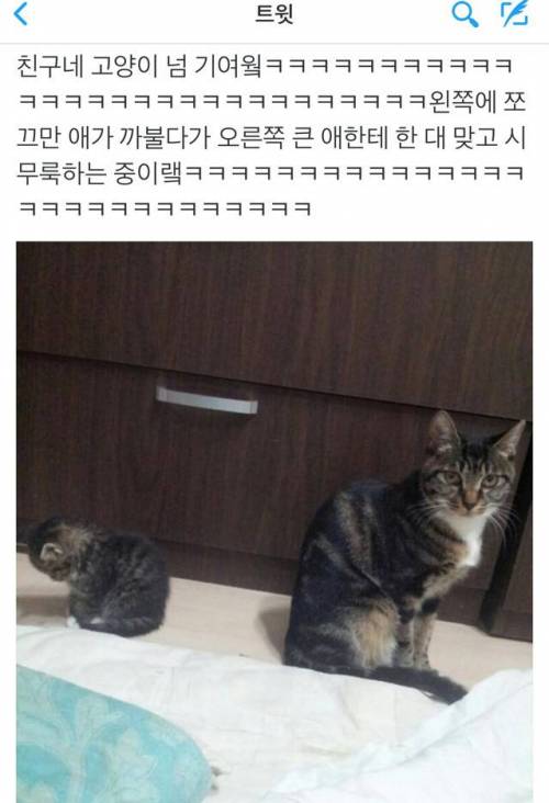 까불다가 한 대 맞고 시무룩중