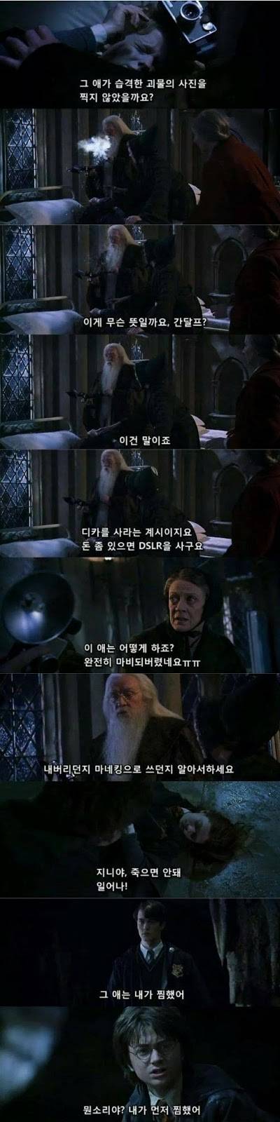 해리포터 약빤자막.jpg