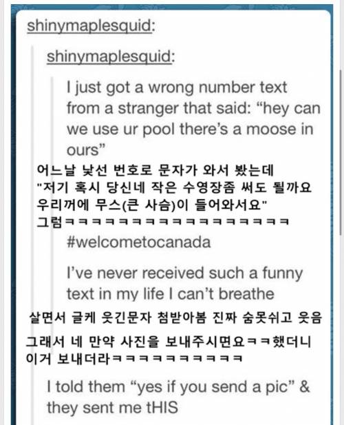 캐나다 사람만 할수있는 개그