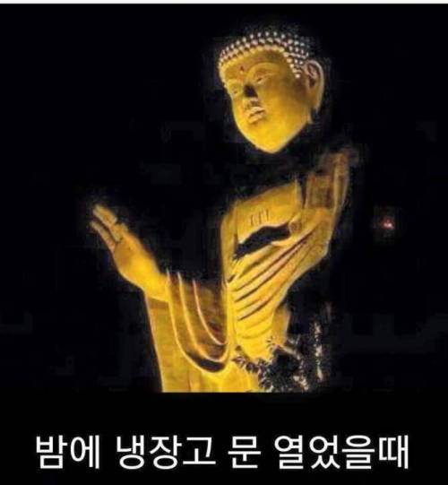 밤에 냉장고 문 열었을때 내모습