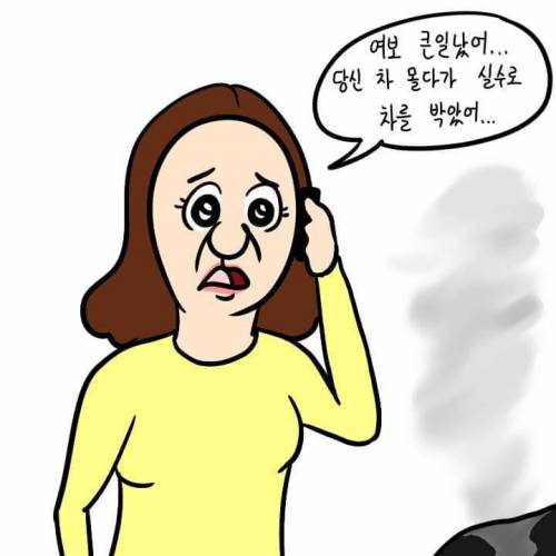 여보, 차를 박았어...jpg