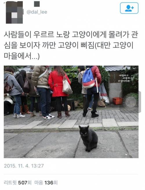 쳇, 쟤가 뭐가 예쁘다고.. 나만 별로인가?