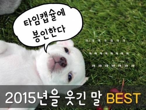 2015년을 웃긴 말 BEST