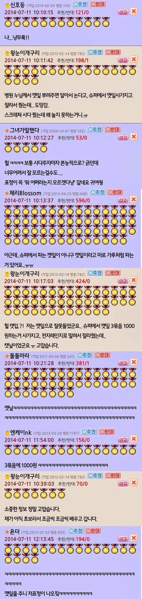 스크래쳐를 사줬는데 왜 놀지 못하니.jpg